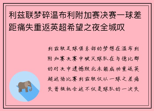 利兹联梦碎温布利附加赛决赛一球差距痛失重返英超希望之夜全城叹